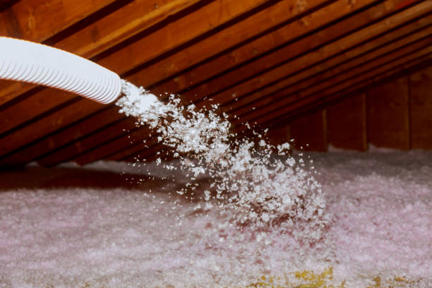 Best Home Insulation Services  in Fairplains, NC