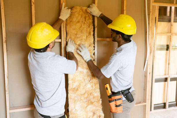 Best Insulation Replacement Services  in Fairplains, NC