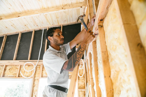 Best Professional Insulation Contractor  in Fairplains, NC