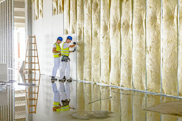 Best Cellulose Insulation  in Fairplains, NC
